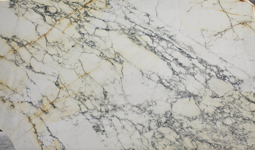 Calacatta Paonazzo Marble