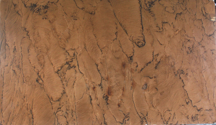 Double Brown Dual Finish Polished/Honed