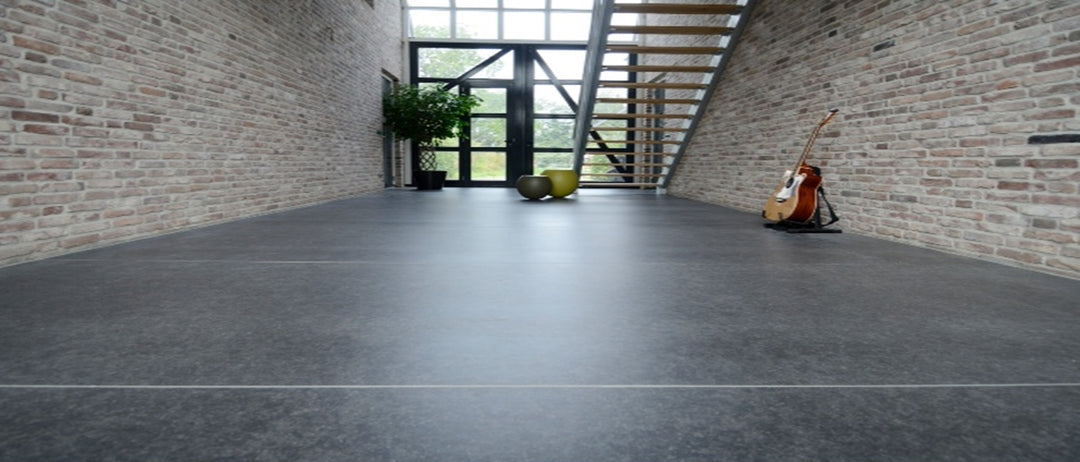 Belgian Blue Neolith